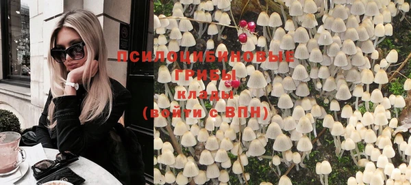 индика Алексеевка