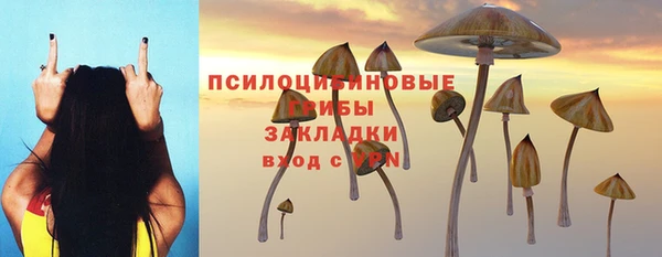 индика Алексеевка